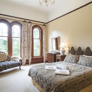 Spacious King Room